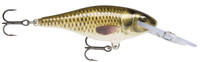 CARP