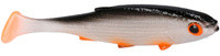 Orange Roach