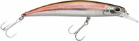 Smelt