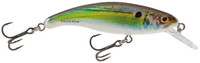 Real Holographic Shad
