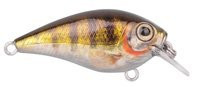 Zander