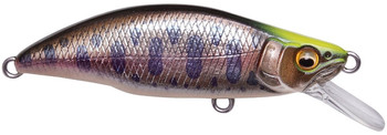 Wobler Megabass GH64 Humpback