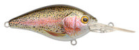 Rainbow Trout