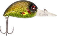 Green Olive Flash