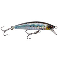 Sardine PHP