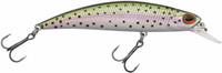 Rainbow Trout
