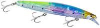 C Sardine