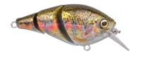Baby Trout