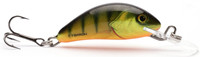 Hot Perch
