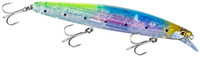 C Sardine
