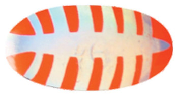 Obrotówka Mistrall Ospray