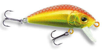 Wobler Robinson Fluppy