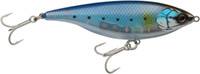 Sardine
