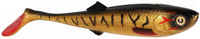 Spotted Bullhead