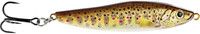 Brown Trout Fry