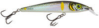 Smelt