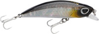 Baitfish