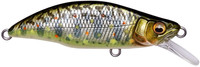 Takumi Kawamasu 03