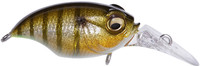 Glx Galaxy Gill