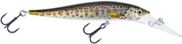 Brook Trout Fry