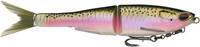 Rainbow Trout