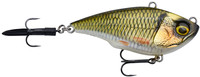 Bream