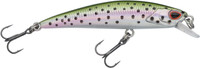 Rainbow Trout