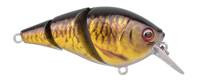 CARP