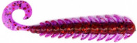 Ur29 Chameleon Red Seed