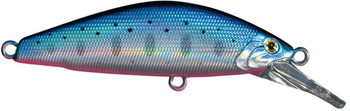 Wobler Smith D-Concept