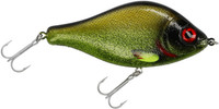 Tench