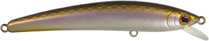 Wobler Smith DD Panish Area