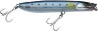 Sardine