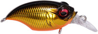 GG Megabass Kinkuro