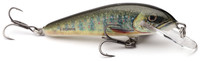 Lake Charr