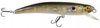 Trout Transparent Brown
