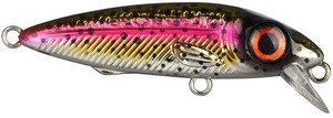 Wobler Spro Iris The Kid
