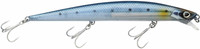 Sardine