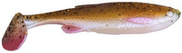 02 Rudd Minnow