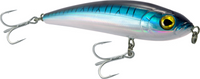 Blue Mackerel