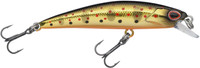 Golden Trout