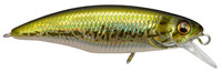 GG Bass