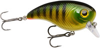 Perch