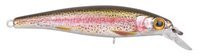 Rainbow Trout