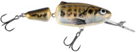 Muted Minnow