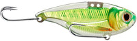 Gold Perch