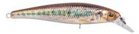 Gudgeon