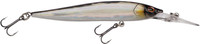 Baitfish