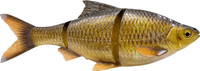 Glitter Bream