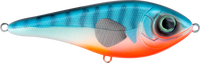 C605F